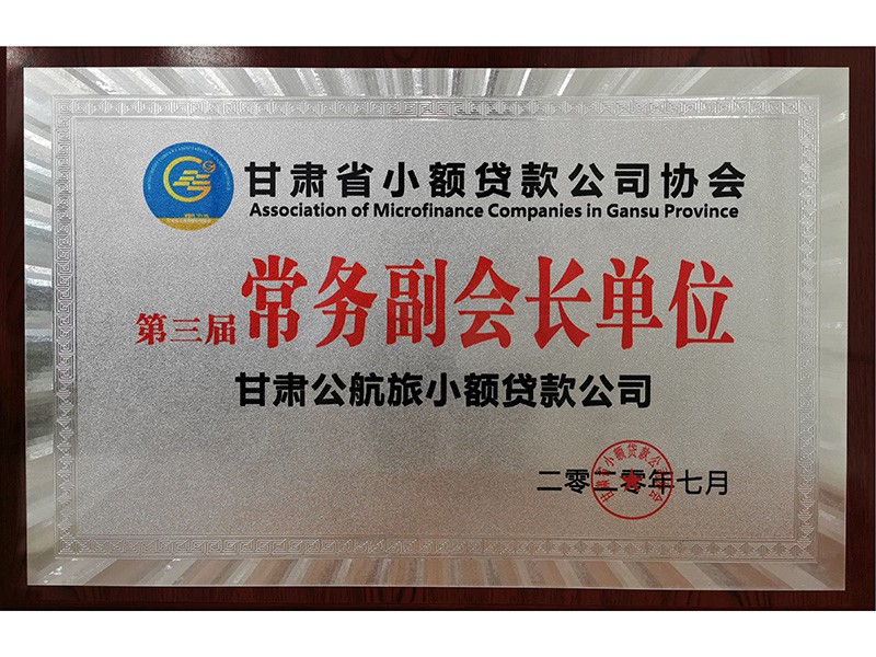 2020年度甘肃省小额贷款公司协会常务副会长单位