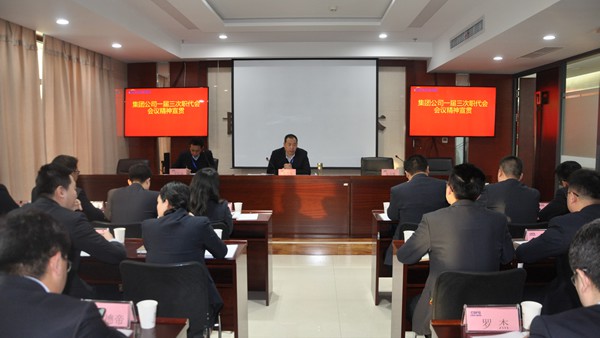 公司学习、宣传、贯彻集团公司一届三次职代会精神