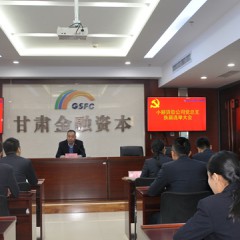 公司党总支组织书记改选及总支委员补选