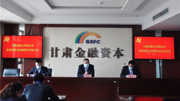 小额贷款公司党总支召开全体党员大会暨民主评议党员大会