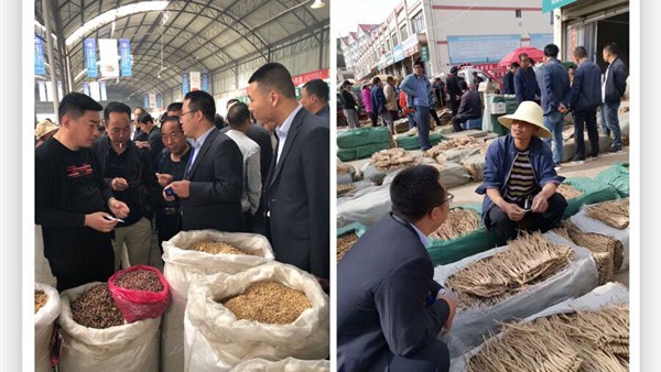 质普惠  畅金融 ——小额贷款公司积极开展“药材质押贷”业务营销活动