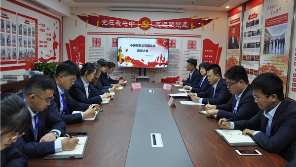 扬梦想风帆 做有为青年——小额贷款公司召开共青团总支部成立大会暨第一次团员大会