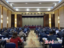 王嘉毅在省委党史学习教育领导小组办公室主任会议上强调扎实推进全省党史学习教育见成效出成果