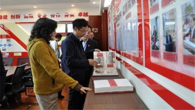 省政府国资委党委对小额贷款公司2020年度党建工作责任制落实情况检查指导