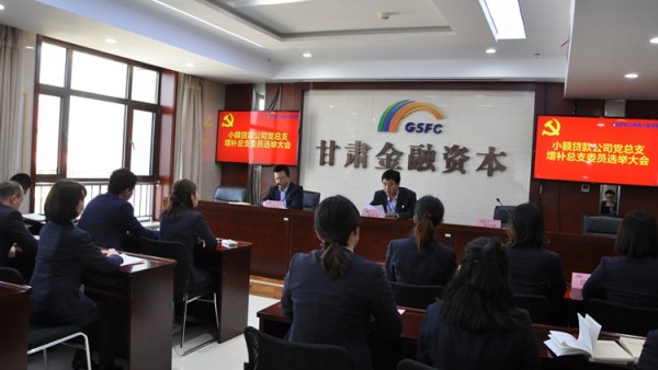 小额贷款公司党总支召开全体党员大会改选总支书记