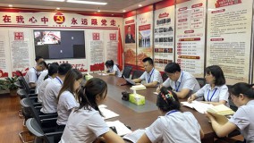 小额贷款公司召开党史学习教育专题组织生活会会前学习