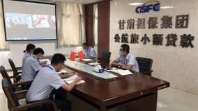 小额贷款公司临夏党支部召开党史学习教育专题组织生活会