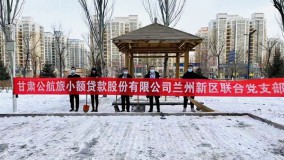 小额贷款公司兰州新区联合党支部组织全体党员开展扫雪除冰志愿服务活动