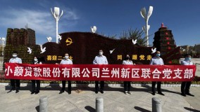 喜迎二十大健康徒步行——小额贷款公司兰州新区联合党支部组织开展主题党日活动