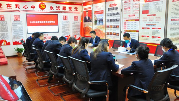 小额贷款公司党总支组织召开2022年度组织生活会前学习