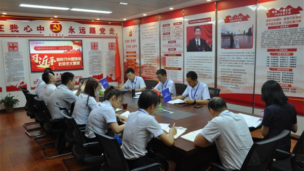 小额贷款公司党总支组织召开专题组织生活会前集体学习