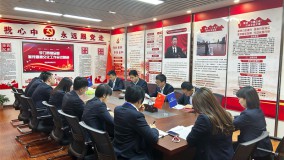 小额贷款公司党总支组织召开全国宣传思想文化工作会议专题学习会