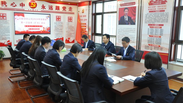 小额贷款公司召开2024年安委会第一次全体（扩大）会议