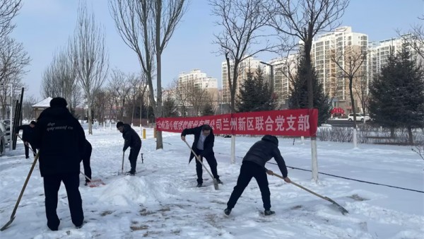小额贷款公司新区联合党支部开展“扫雪除冰暖人心  社区安全有保障”主题党日活动