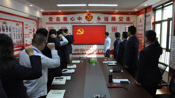 小额贷款公司党支部开展“新党员入党宣誓，老党员重温入党誓词”主题党日活动