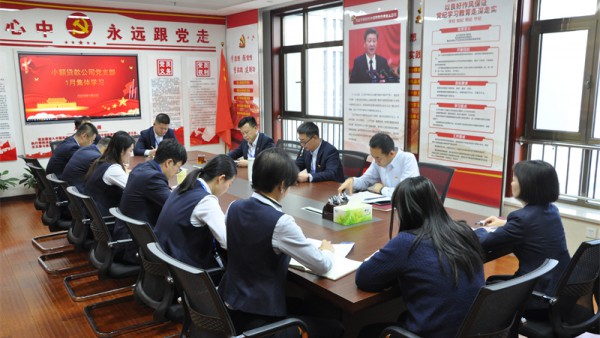 小额贷款公司党支部开展1月党员集体专题学习